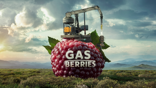 OGEN Gas Berries #112