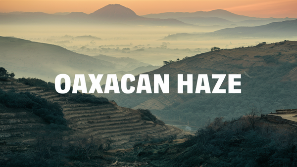 Oaxacan Haze From Ministry of Sativa